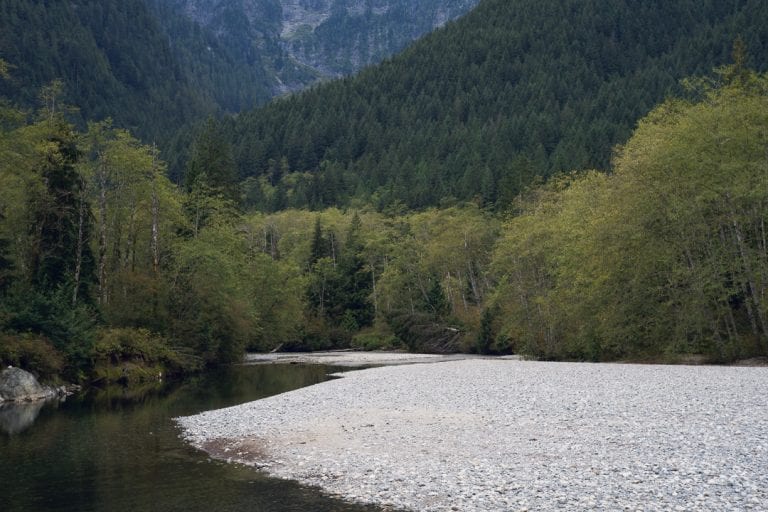 Landscape image of a river running through a mountain range at Golden Ears Provincial Park