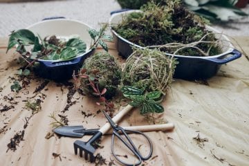 Image of kokedama being made during a workshop at Connally McDougall studios by Vancouver workshop photographer Angela McConnell
